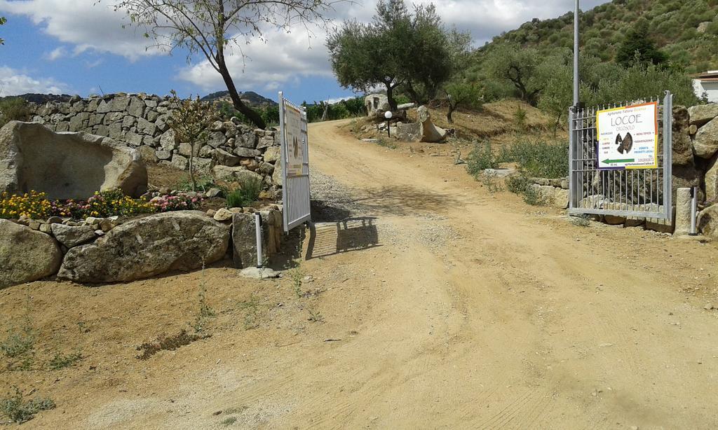 Agriturismo Locoe 奥列纳 外观 照片