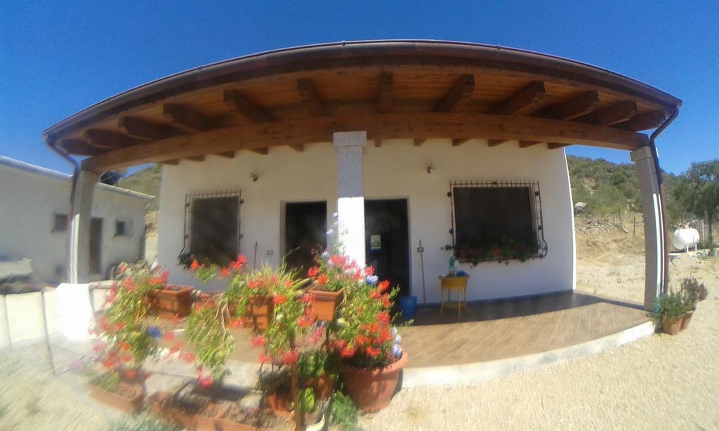 Agriturismo Locoe 奥列纳 外观 照片