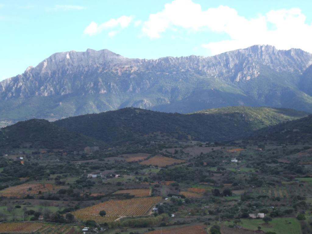 Agriturismo Locoe 奥列纳 外观 照片